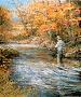 Fall Creek by Ross B Young Limited Edition Print