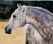 Dawn Horse by Deborah Day Limited Edition Pricing Art Print