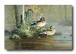 Island Woodies by Scott Zoellick Limited Edition Print