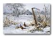 Winter Refuge by Scott Zoellick Limited Edition Pricing Art Print