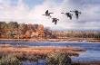 Goose Haven by Scott Zoellick Limited Edition Print