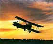 Dawn Flight by Sam Jr Lyons Limited Edition Print
