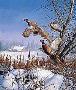 Winter Wndr Phe by David A Maass Limited Edition Pricing Art Print
