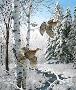 Winter Wndr Gro by David A Maass Limited Edition Print