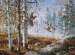 Morn Double Rfd Grs by David A Maass Limited Edition Pricing Art Print