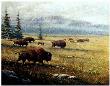 Yellowstone Herd by Ronnie Wells Limited Edition Print