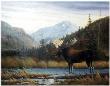 Long Lake Visitor by Ronnie Wells Limited Edition Print