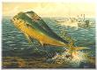 Dolphinfish by Ronnie Wells Limited Edition Print