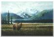 Grizzly by Ronnie Wells Limited Edition Print