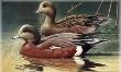 Widgeon Pair by Ronnie Wells Limited Edition Print
