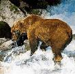 Katmai Cascade by Julie Chapman Limited Edition Print