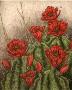 Claret Cups by Melanie Fain Limited Edition Print