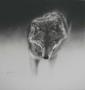 Gray Wolf by Cole Johnson Limited Edition Print