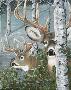 In The Laurel by Anthony Wallace Limited Edition Print