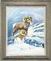 Big Horn Sheep by Anthony Wallace Limited Edition Print