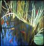 Reeds & Goldfish by Elaine Juska Keeley Limited Edition Print