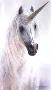 Unicorn Port by Sharlene Lindskog-Osorio Limited Edition Print