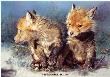 Little Wild Ones by M Sue Hollis Limited Edition Print