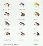 Trad Wet Fly Slctn Hc by Bob White Limited Edition Print