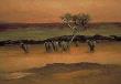 Masai Mara by Pat Wallis Limited Edition Pricing Art Print