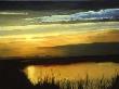 Bolinas Lagoon by Pat Wallis Limited Edition Print