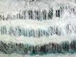 Ice Storm by Debi Mortenson Limited Edition Pricing Art Print