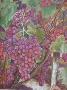 Grapes by Patti Doolittle Limited Edition Print