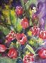 Tulip Bouquet by Cheryl St John Limited Edition Print