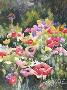 Poppy Garden by Cheryl St John Limited Edition Pricing Art Print