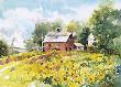 Sunflower Harvest by Cheryl St John Limited Edition Print