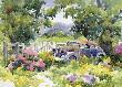 Backed In The Shade by Cheryl St John Limited Edition Print