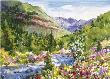 Wildflowr Hike Vail by Cheryl St John Limited Edition Pricing Art Print