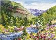 Wildflowr Hike Vail by Cheryl St John Limited Edition Print