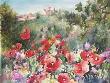 Poppies Of Provence by Cheryl St John Limited Edition Pricing Art Print
