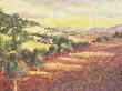 Tuscan Glow by Cheryl St John Limited Edition Pricing Art Print