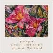 Summer Show by Nancy Meadows Taylor Limited Edition Pricing Art Print