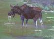 Moose by Pat Snelling-Weiner Limited Edition Print