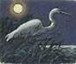 Egret Mini by Kathleen Cantin Limited Edition Print