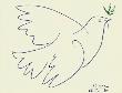 Blue Dove by Pablo Picasso Limited Edition Print