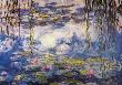 Water Lilies by Claude Monet Limited Edition Pricing Art Print