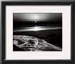 Birds On A Beach by Ansel Adams Limited Edition Print