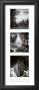 Trilogy I I I by Ansel Adams Limited Edition Pricing Art Print