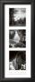 Trilogy I I I by Ansel Adams Limited Edition Print