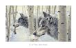 Among The Aspens by Mickey Flodin Limited Edition Print