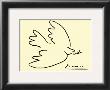 Dove Of Peace by Pablo Picasso Limited Edition Pricing Art Print