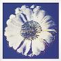 Flower For Tacoma Dome, C.1982 (Blue And White) by Andy Warhol Limited Edition Pricing Art Print
