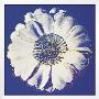 Flower For Tacoma Dome, C.1982 (Blue And White) by Andy Warhol Limited Edition Print