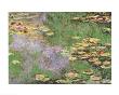 The Water Lily Pond At Giverny by Claude Monet Limited Edition Print