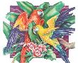 Tropical Garden Macaws Ii Red&Green by Paul Brent Limited Edition Pricing Art Print