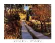 Autumn Road by William Hook Limited Edition Print